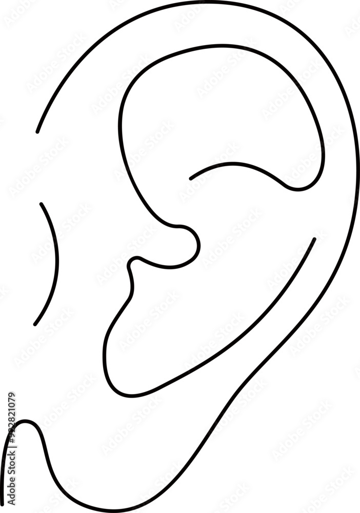 Human Ear Line Illustration Human Ear Line Illustration