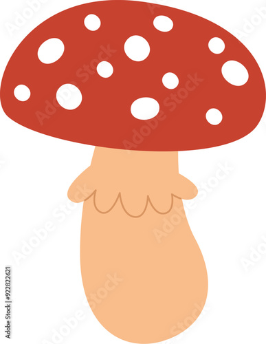 Fly Agaric Mushroom