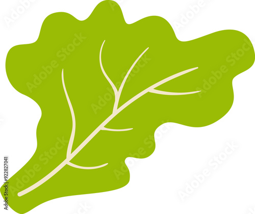 Leaf Salad Greens Edible Plant