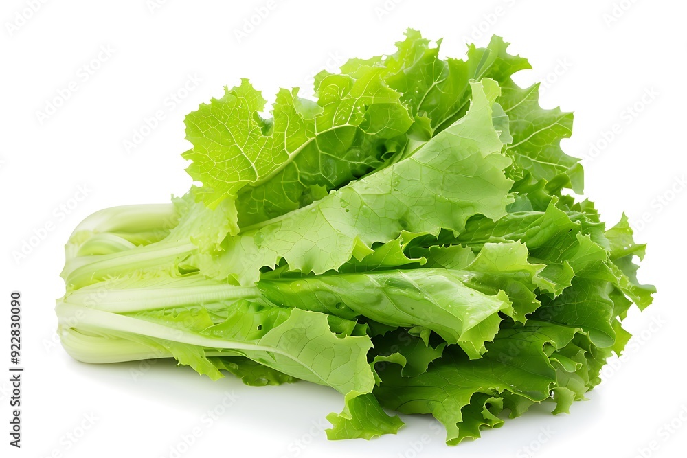 Celtuce isolated on white background. Celtuce isolated on white background.