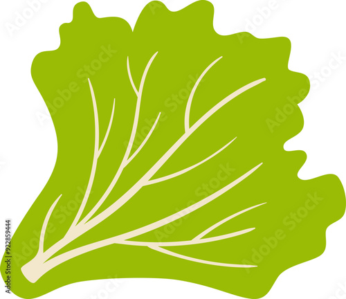 Leaf Salad Greens Edible Plant