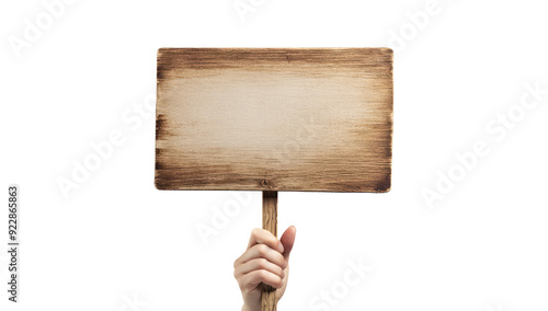 Hand holding wooden stick or blank protest sign photo