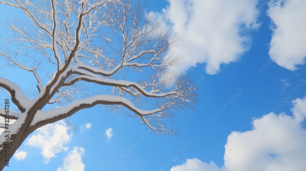 A winter scene captures a bare tree dusted with snow under a clear blue sky A winter scene captures a bare tree dusted with snow under a clear blue sky
