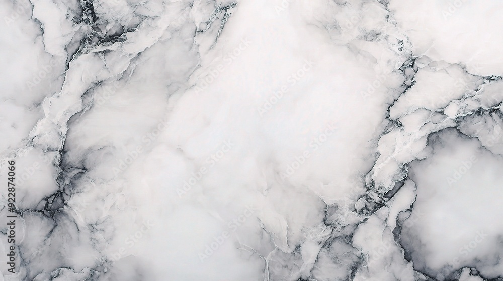 Elegant Grey and White Marble Texture Elegant Grey and White Marble Texture