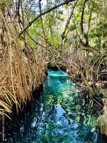 River tubing at the cave entrance at the ecological adventure paradise, Xcaret.  Floating along pristine, crystal clear, cool, jungle waters surrounded by tropical plants.  photo