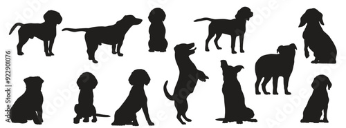 scollection animal dog different positions