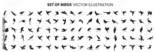 set of silhouettes birds