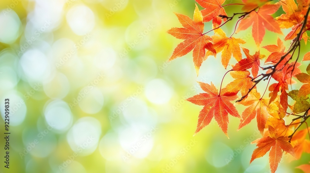 Stunning Autumn Red Maple Leaves Close-Up with Green Bokeh and Blurred Background, Reflecting Japanese Artistic Style in High Resolution and Vivid Natural Colors Stunning Autumn Red Maple Leaves Close-Up with Green Bokeh and Blurred Background, Reflecting Japanese Artistic Style in High Resolution and Vivid Natural Colors