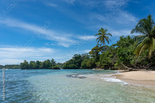 Tropical Beach Paradise with Palm Trees, Turquoise Clear Water, and Blue Sky - Perfect Island Vacation Destination for Relaxation, Sunshine, and Exotic Coastal Scenery in an Unspoiled Caribbean Resort