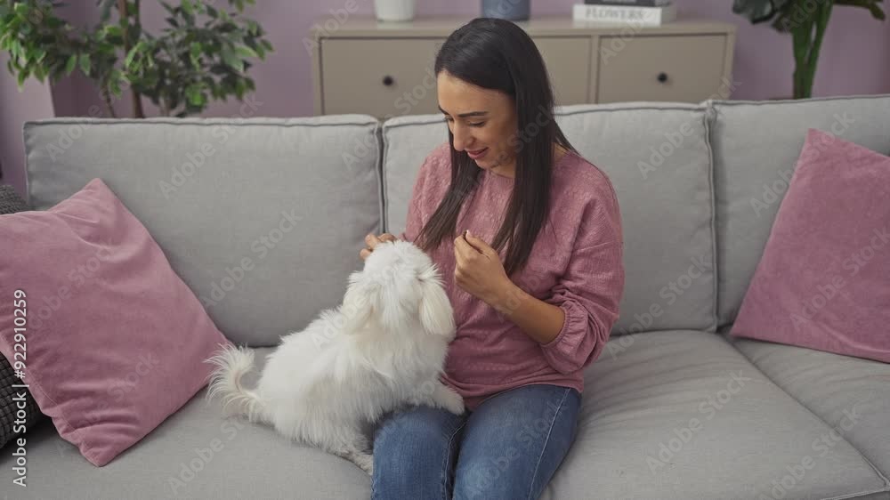 Hispanic woman playing with bichon maltese dog on couch in cozy living room interior. Hispanic woman playing with bichon maltese dog on couch in cozy living room interior.