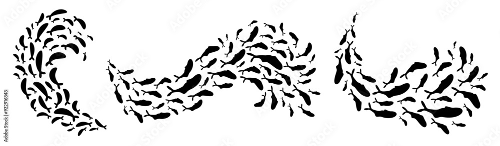 Diverse fish school formations create mesmerizing patterns in the water. These marine creature wave shapes, seen underwater, swirl elegantly. Ideal for border ornament graphic or logo design. Diverse fish school formations create mesmerizing patterns in the water. These marine creature wave shapes, seen underwater, swirl elegantly. Ideal for border ornament graphic or logo design.