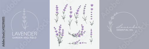Lavender flower vector logo set . Floral design label