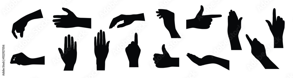 Hands gestures Realistic detailed anatomic people body parts human hands palm and fingers decent vector template