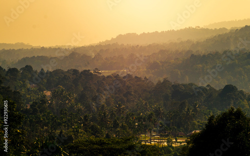 Aerial mountain forest landscape at sunset © Johnster Designs