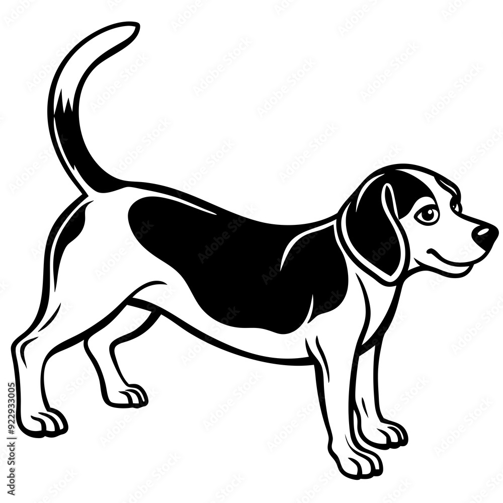 Beagle puppy dog isolated on white, beagle dog vector illustration, animal vector art, dog silhouette, pet vector icon, burger cartoon line art, eps Beagle puppy dog isolated on white, beagle dog vector illustration, animal vector art, dog silhouette, pet vector icon, burger cartoon line art, eps
