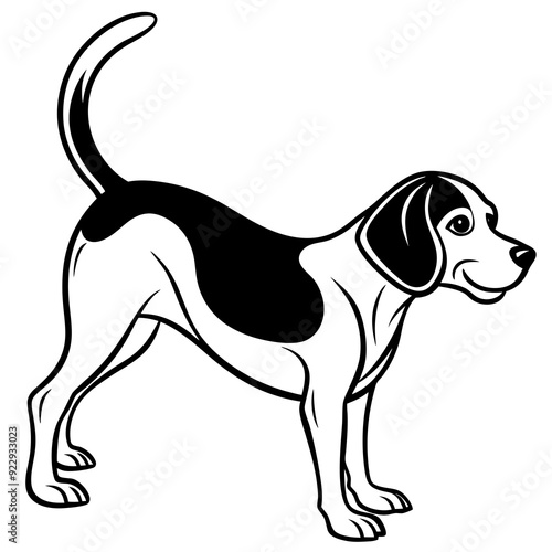 Beagle puppy dog isolated on white, beagle dog vector illustration, animal vector art, dog silhouette,  pet vector icon, burger cartoon line art, eps