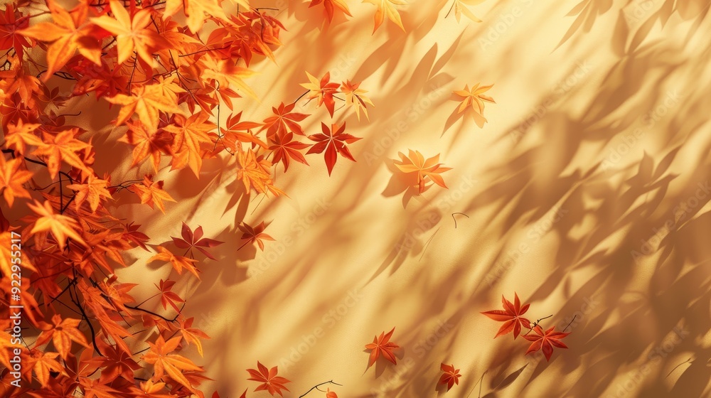 Maple tree leaves shadow on wall, forming an abstract and seasonal autumnal background Maple tree leaves shadow on wall, forming an abstract and seasonal autumnal background