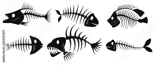 fish bone set collection dead bone river and sea fish black silhouette skeleton