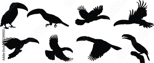 Set of toucan silhouette full body illustration. Bird pose in wildlife.
