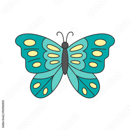 butterfly illustration