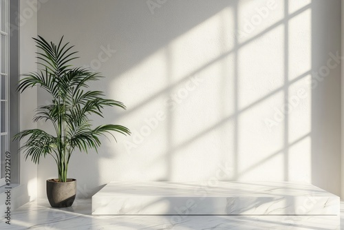 Bright Minimalistic Interior with Natural Light