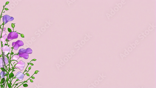 Delicate Sweet Peas with Ample Copy Space Isolated on solid Background for Your Text or Design