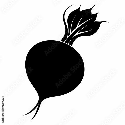 Beetroot Food vegetable silhouette vector illustration on white Background.