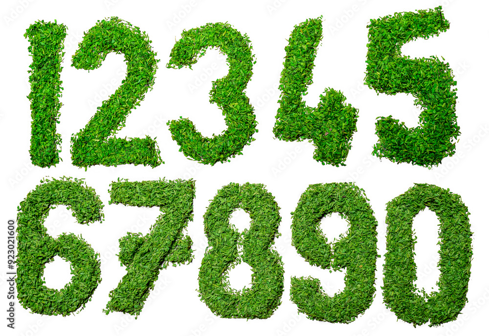 The numbers are written in a grassy font, giving the impression of a natural The numbers are written in a grassy font, giving the impression of a natural