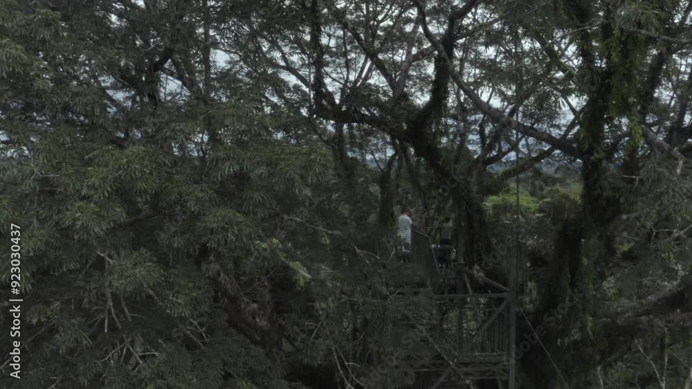 Filming tourist on top of an observation tower in the amazon rainforest using a drone. Filming tourist on top of an observation tower in the amazon rainforest using a drone.