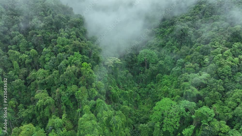 Aerial View of Mountain, Forest, Could at Bo Kluea Districtfrom from a Drone - Nan Province Thailand
Aerial View of Mountain, Forest, Could at Bo Kluea Districtfrom from a Drone - Nan Province Thailand