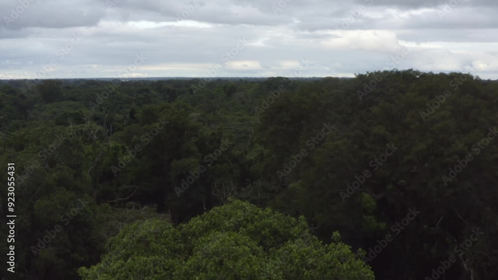Drone flight over the amazon rainforest in Ecuador Drone flight over the amazon rainforest in Ecuador
