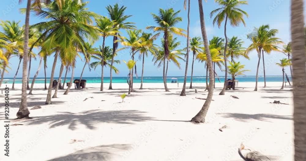 Flying Through Palm Trees On White Sand Beach On Cayo Sombrero, Morrocoy National Park, Venezuela. drone shot Flying Through Palm Trees On White Sand Beach On Cayo Sombrero, Morrocoy National Park, Venezuela. drone shot