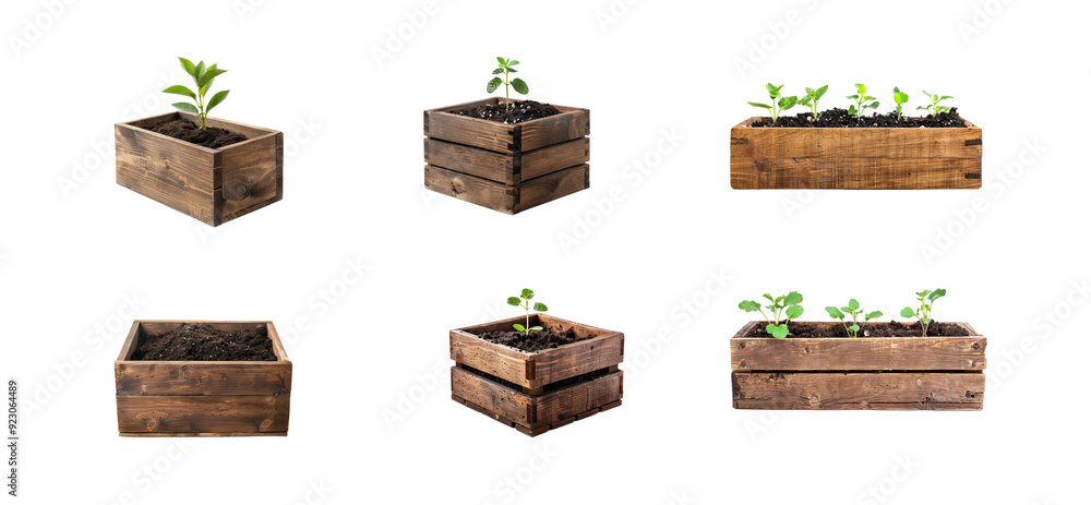 © Sim - Collection of Wooden box with soil for growing plants front view isolate on transparency background