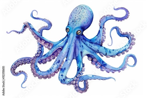 Watercolor octopus, squid engraved ocean animal, marine seafood vector illustration on white background photo