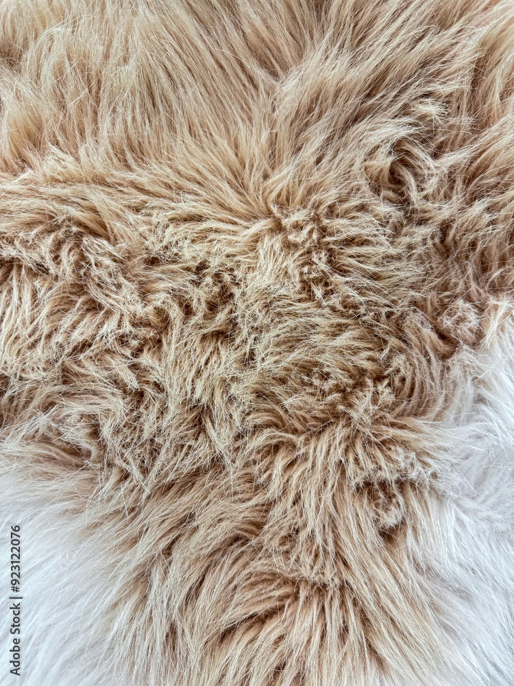 Close up of beige animal fur texture with natural swirl patterns, detailed macro photography for design and print. Close up of beige animal fur texture with natural swirl patterns, detailed macro photography for design and print.
