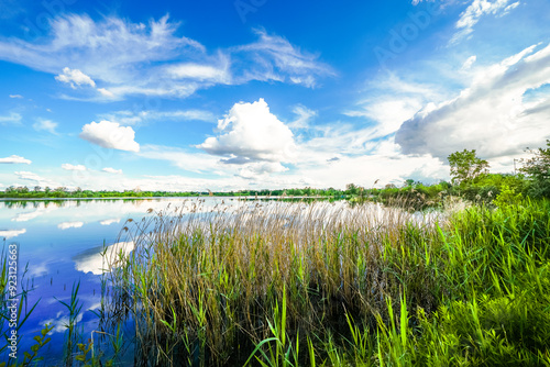 Landscape at the Feilenmoos local recreation area. Bathing lake between Manching and Geisenfeld. Nature at the quarry lake.
 photo