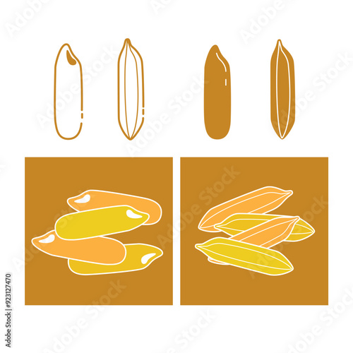 rice seed
