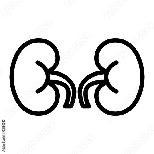 Kidney Vector Line Icon Design