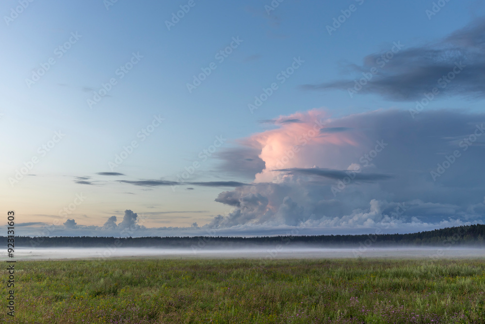 Fototapeta premium A large cloud in the sky is visible over a field