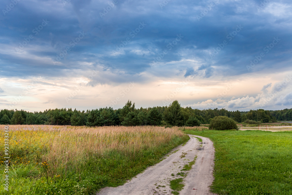 A road runs through a field of grass and trees A road runs through a field of grass and trees