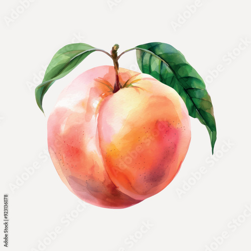 Watercolor peach with green leaves