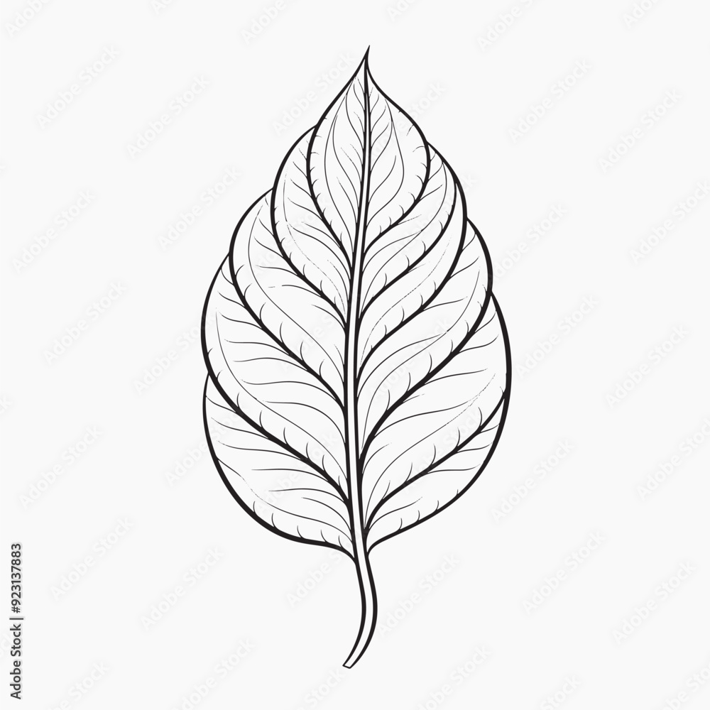 Detailed leaf line art illustration Detailed leaf line art illustration