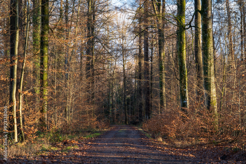 Schönbuch Nature Park in the Stuttgart Region Schönbuch Nature Park in the Stuttgart Region