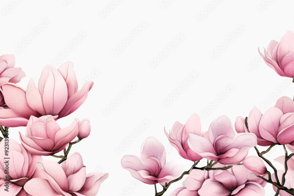 Elegant pink magnolia blossoms Elegant pink magnolia blossoms