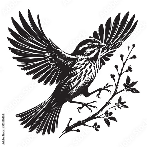 Song sparrow silhouette,  Melospiza Melodia Clipart, Song Sparrow in mid flight Illustration photo