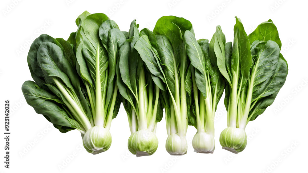fresh mustard greens isolated on white background fresh mustard greens isolated on white background