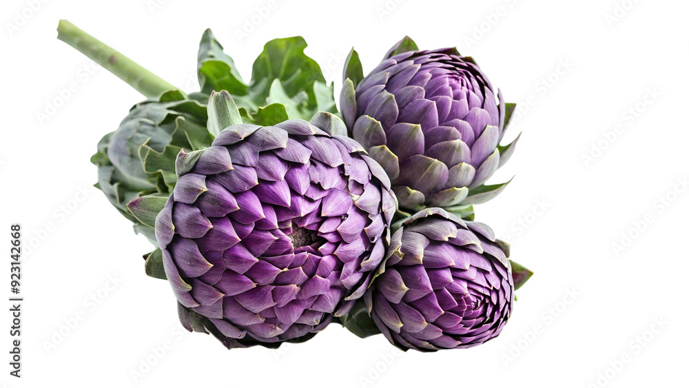 Obraz premium Fresh Artichokes isolated on white background
