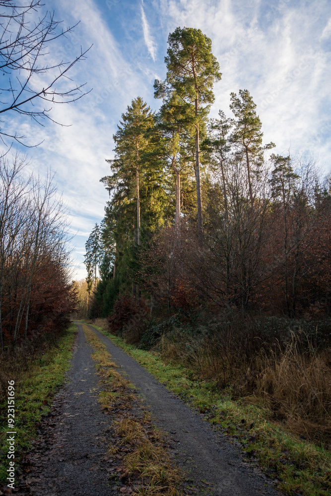 Schönbuch Nature Park in the Stuttgart Region Schönbuch Nature Park in the Stuttgart Region