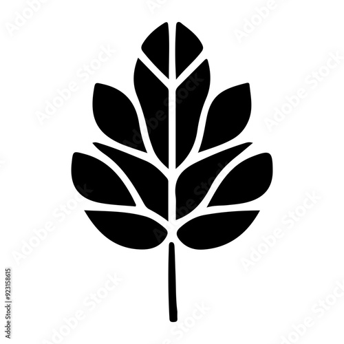 Plant Leaf