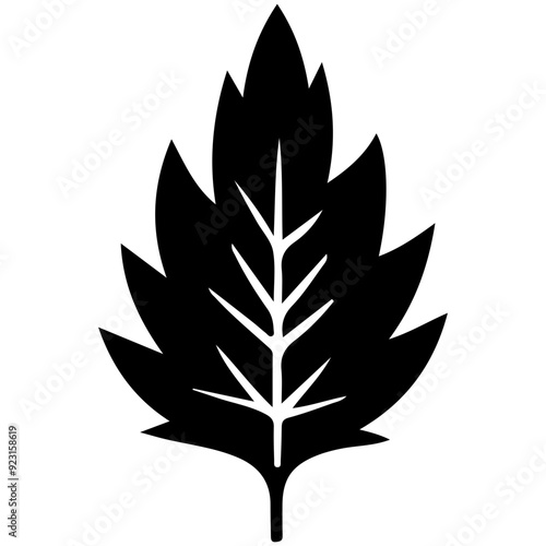Plant Leaf